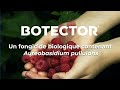 Botector  san agrow fr