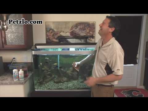 Petzio.com - Change Your Fish Tank Layout