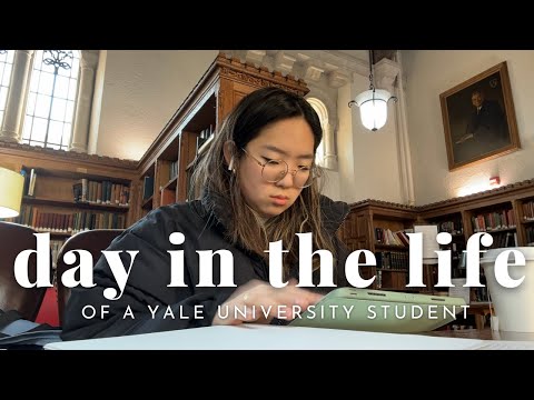 a day in the life of a yale student