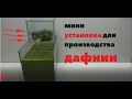 Мини установка ДЛЯ размножения ДАФНИИ  в домашних условиях!