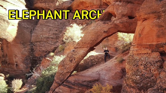 White Rocks Amphitheater in Snow Canyon 