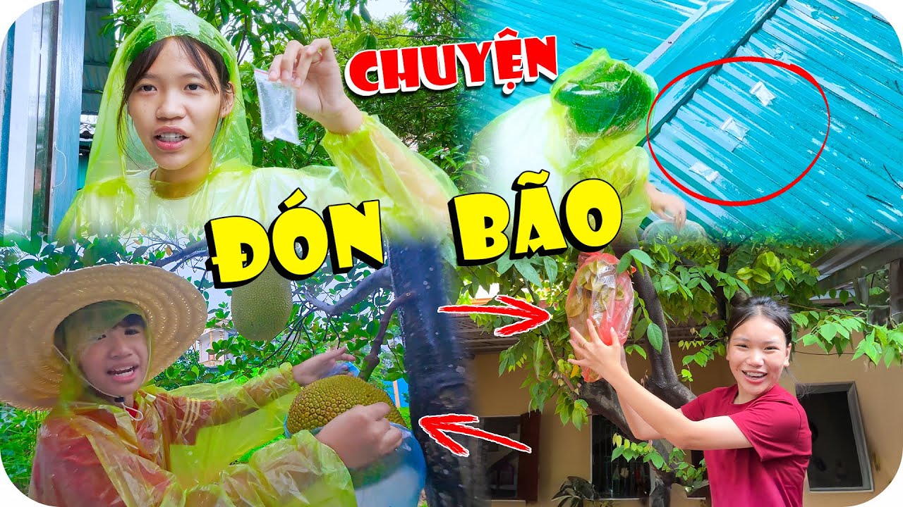 Câu Chuyện Ngày Mưa Bão - Các Kiểu Chống Bão Bá Đạo Nhất | Min Min TV Minh Khoa