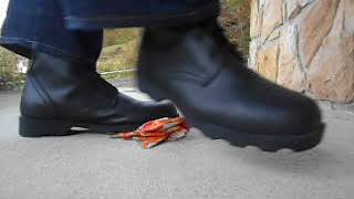 Rothco combat boot crunch on a cracker box