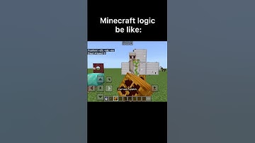 This doesn’t make sense #shorts#Minecraft#logic