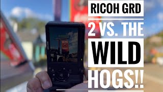 Shooting the Wild Hogs movie set with the Ricoh GRD 2!!