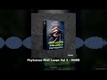 Psytrance Midi Loops Vol 3 DNBN Psy Trance Midi Pack