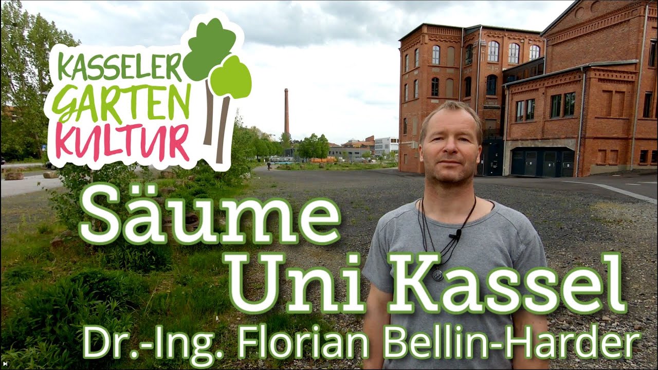 Kasseler Gartenkultur: Säume auf dem Campus der Uni Kassel | Dr.-Ing. Bellin-Harder #wowkassel