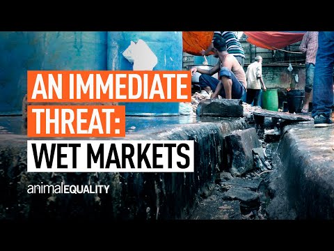 Animal Equality's Campaign to Ban Wet Markets