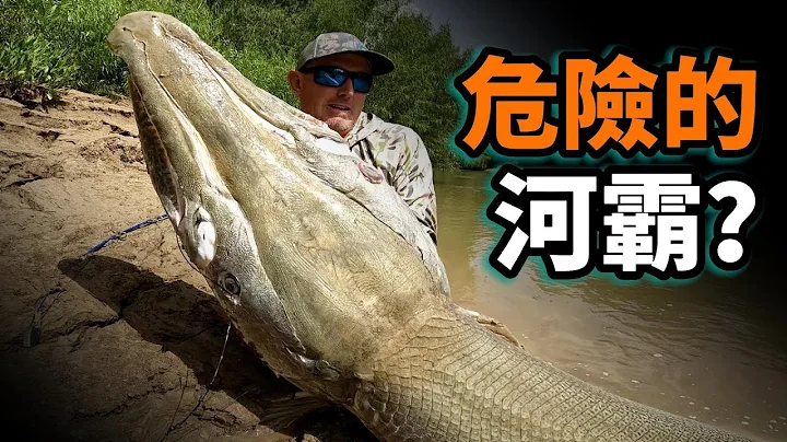 鳄雀鳝之谜：从万恶之源变成淡水救星，北美最大淡水鱼，一亿年活化石传奇之一生。 - 天天要闻