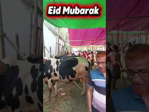 Eid Mubarak ❤️| Mustafa Mustafa Naat ( islamic reminder ) #shortsfeed​ #islam​  #mustafa​ #ai