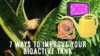 7 Top Tips To Having A Successful Bioactive Reptile Tank | Watch Before Building