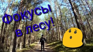 КРУТЫЕ ФОКУСЫ В ЛЕСУ!!!