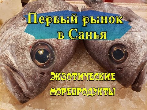 Рыбный рынок - Первый ночной рынок на о. Хайнань г. Санья. Exotic food. Экзотическая рыба