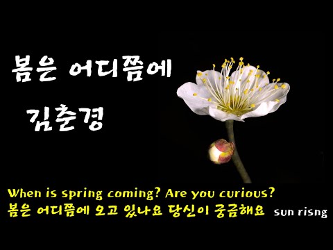 시•봄은•어디쯤에•김춘경 영상재작•낭송•김양원