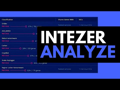 Intezer Analyze: Review