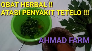 CARA MUDAH !! MENGOBATI AYAM TERKENA PENYAKIT 'TETELO' !!!