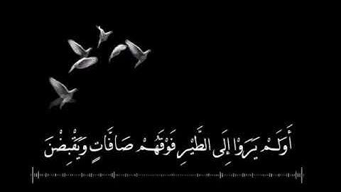" تــــلاوة عذبة يرق لها القلب " للقارئ الشيخ °° ناصر الحصــــامي °°