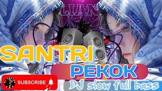 DJ SANTRI PEKOK FULL BASS GENDUK DENOK VIRAL TIK TOK 2024