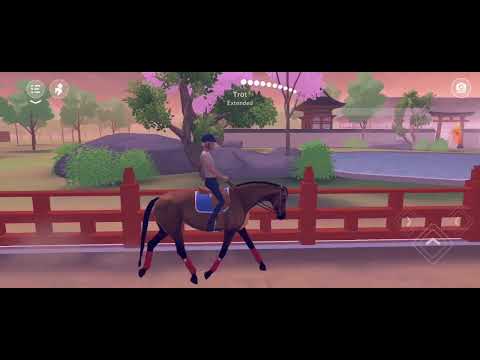 Конкурная Тренеровка//Кск//ETG//Лошади//💓💞💕💖