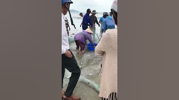 Kéo lưới bắt cá