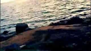 The Vines -1969 Featuring Manda