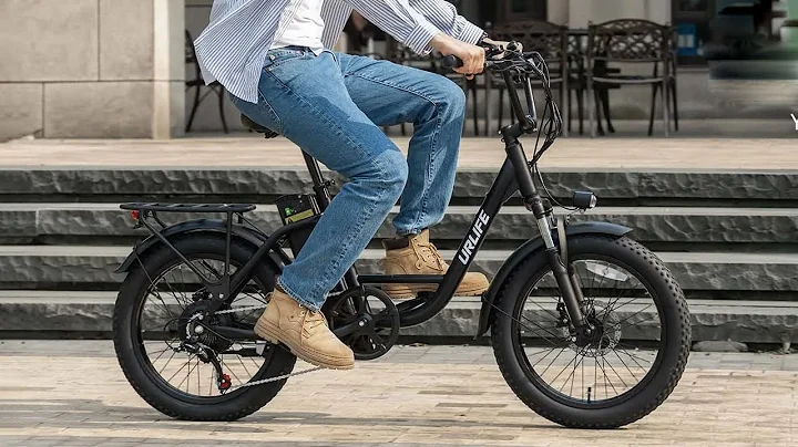 URLIFE E20 Electric Bike 250W Motor 48V 13AH Battery 20 Inch Tires City Commuter Electric Bike