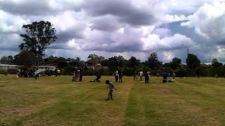 Sydney Uttrayan Kite Flying Blacktown