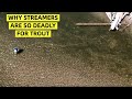 Why Streamers Work So Well For Trout