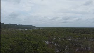 Bush Tucker and exploring towards Mary River.