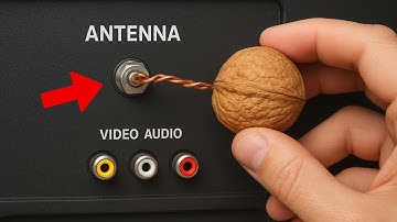 I Plugged a Walnut Into My TV for Better Signal, You Won’t Believe What Happened!