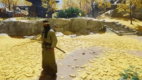 Infinite Dance of Wrath & Heavenly Strike Chain - Ghost of Tsushima