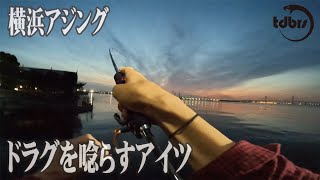 DAIWA アジングX ひん曲がる。釣れたのは...予想外の大物【横浜海釣り】【アジング】