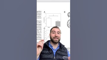 PSYCHEDELIC MUSHROOMS & UNITY