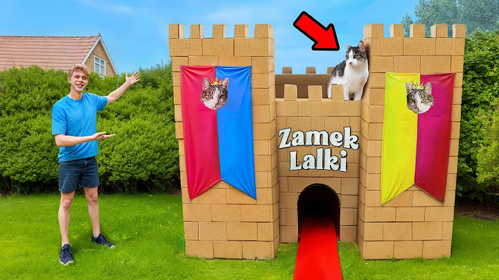 ZROBIŁEM WIELKI ZAMEK DLA KOTA!