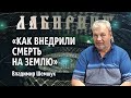 Владимир Шемшук Последние Новые Видео 2022 Года Владимир Шемшук Последние Новые Видео 2022 Года