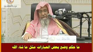 ما حكم وضع بعض العبارات مثل ما شاء الله وغيرها على خلفيات السيارات - العلامة صالح الفوزان