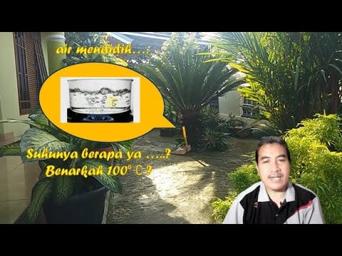 Video: Mengapa Anda Tidak Boleh Mendidih Air Dua Kali: Fakta Saintifik Atau Mitos