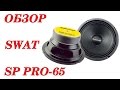 Обзор и прослушивание эстрадных динамиков Swat SP PRO-65