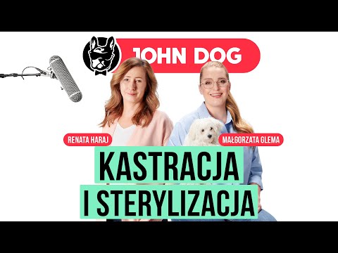 Wideo: 12 dziwacznych i popularnych amerykańskich zwierząt prezydenckich