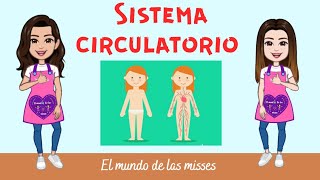 El sistema circulatorio para  niños 