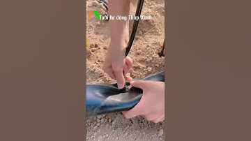 Nông nghiệp công nghệ cao, Tự động hóa trong sản xuất nông nghiệp