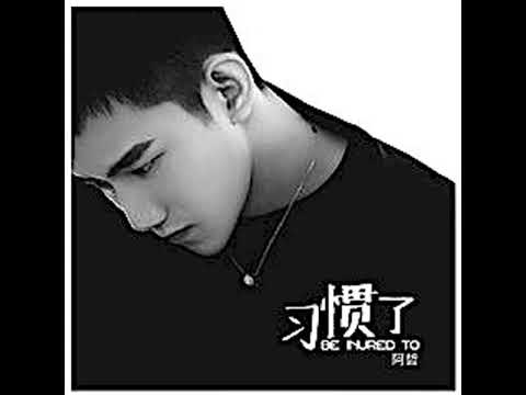阿哲 《习惯了 》