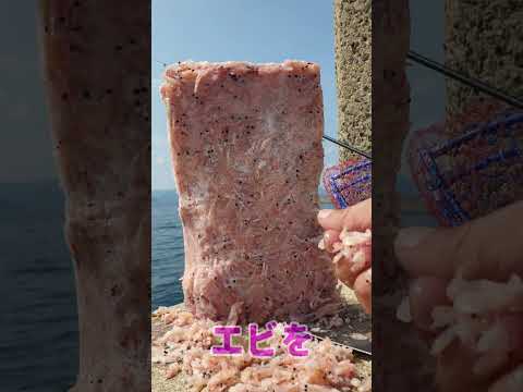 異常発生した堤防にエビタワーを削り落とすとおおごと！