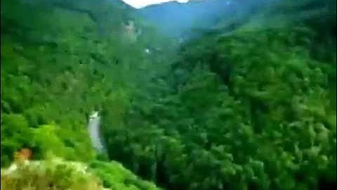 أم يحسدون الناس سعود الفايز تلاوة من سورة النساء