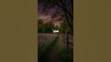 سورة ص | الآية 44