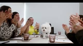 Paw-some Office Life: Behind the Scenes with Ruler Digital Agency 🐶