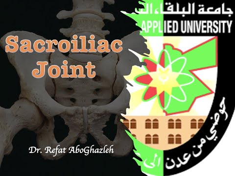 Sacroiliac Joints