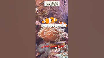 سورة القارعة بالصيغة المغربية الأصيلة القارئ الحسن الفاضلي