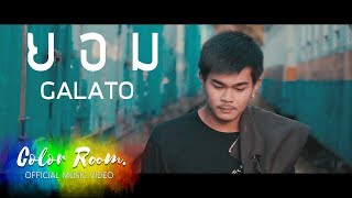 ยอม  -  GALATO 【OFFICIAL MV】 chords