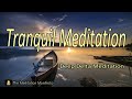 Tranquil  Meditation | Relaxing Music |Stress Relief Music | Release Anxious Thoughts | Deep Delta